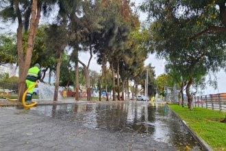 WhatsApp Image 2025-08-21 at 16.39.08.jpeg